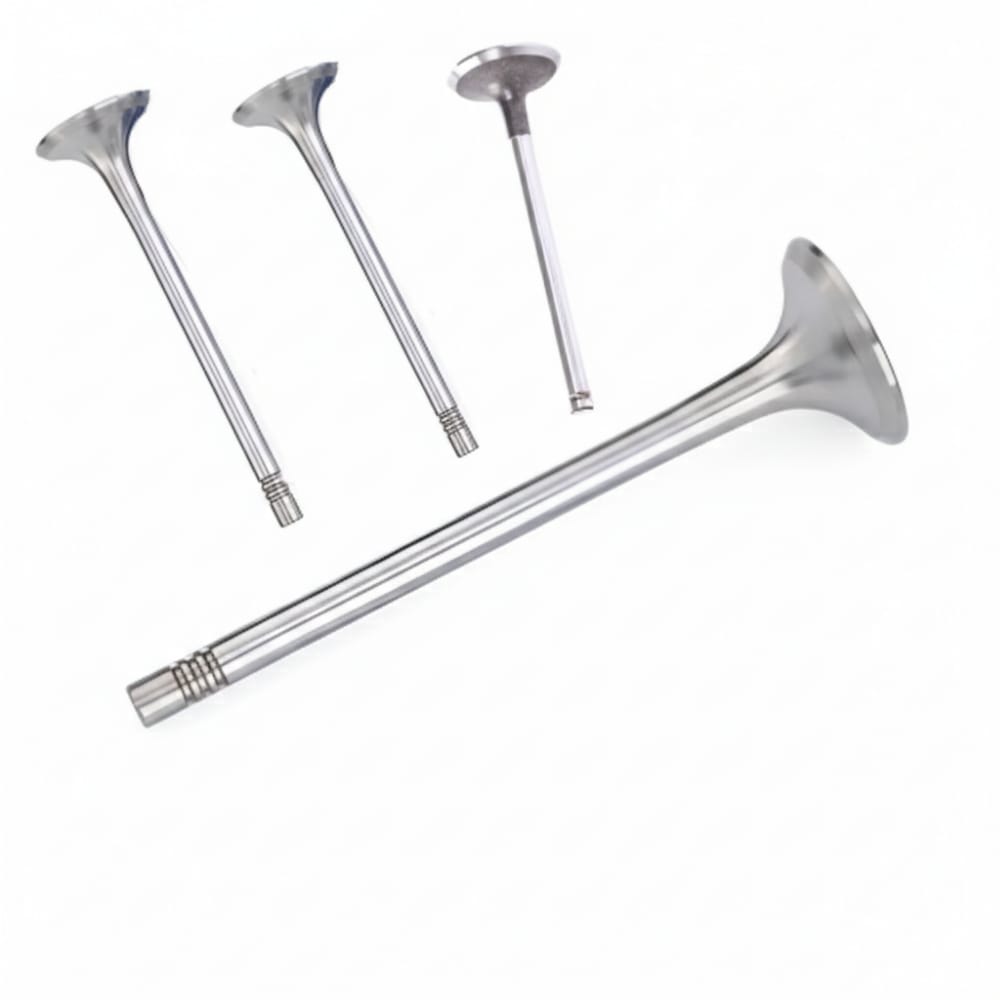 New Partner exhaust valves, 4 pieces