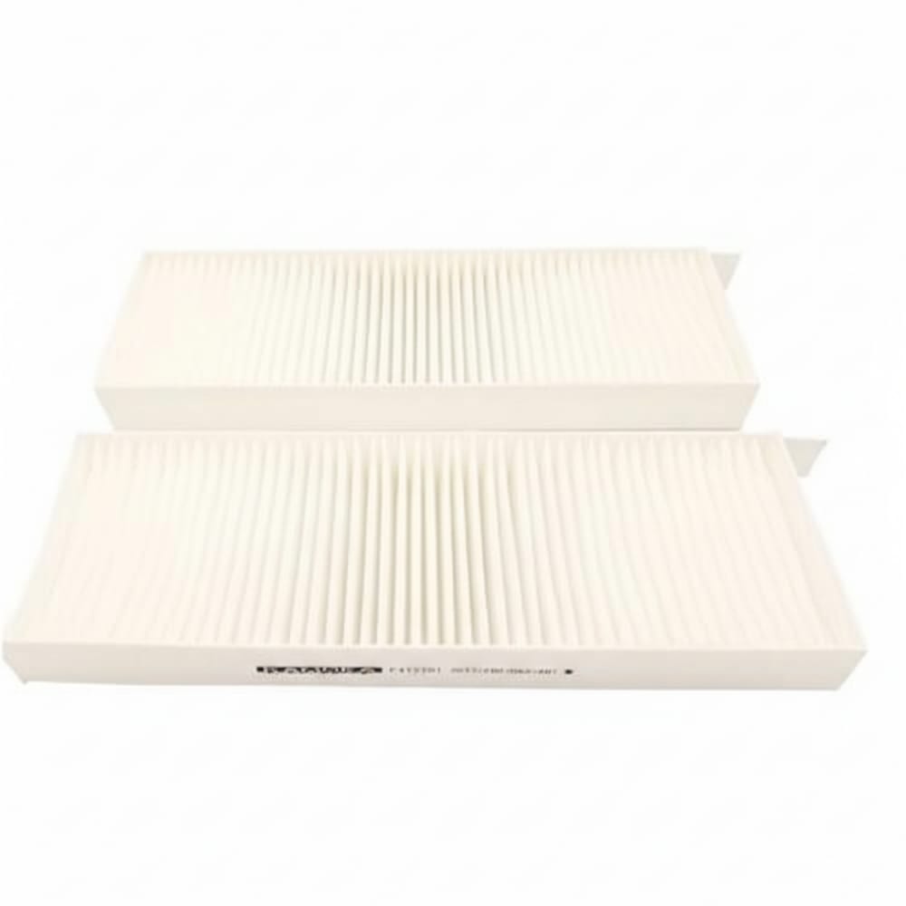 Peugeot 3008 / Partner / 5008 AC Filter – Polish