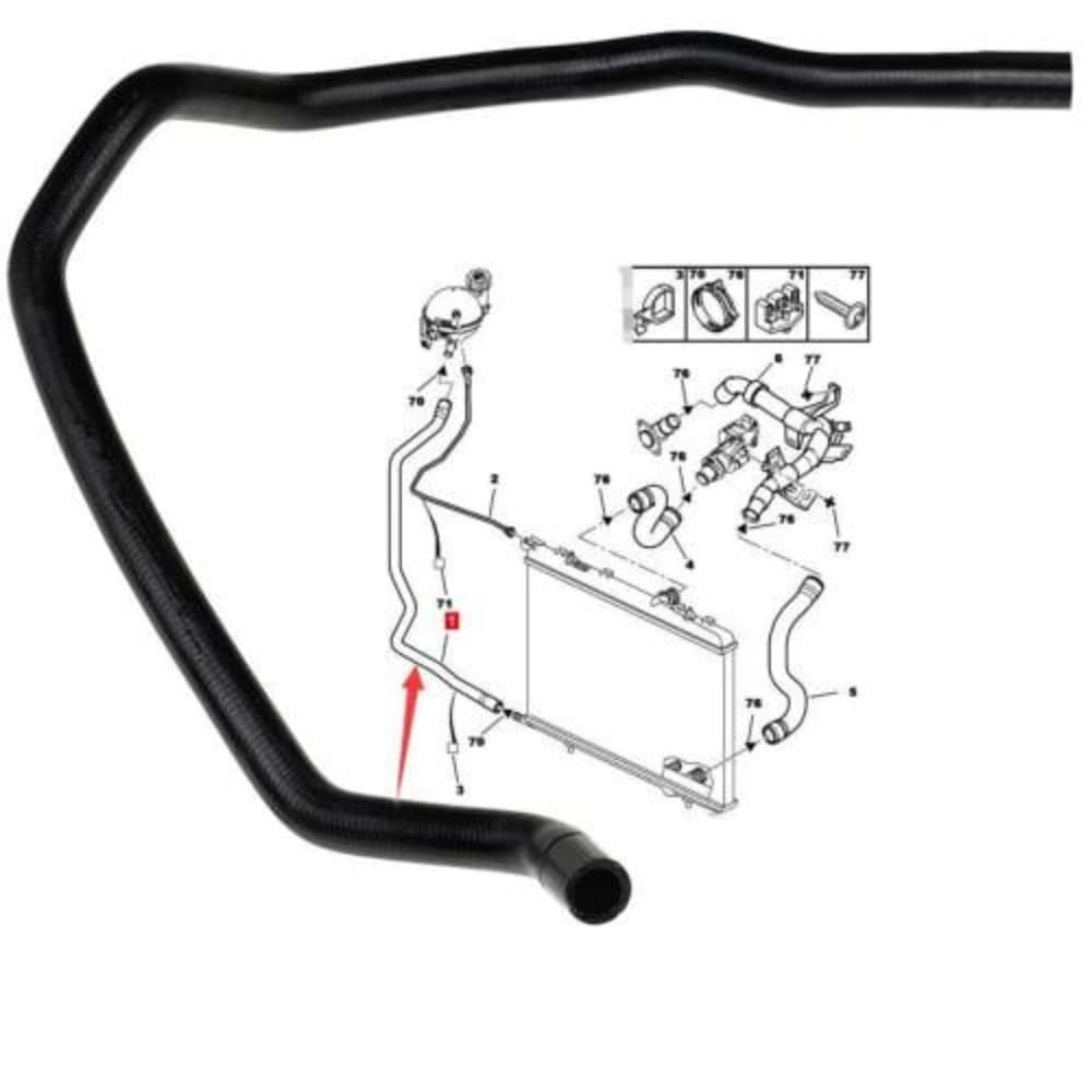 Small coolant hose from Expert expansion tank to radiator."